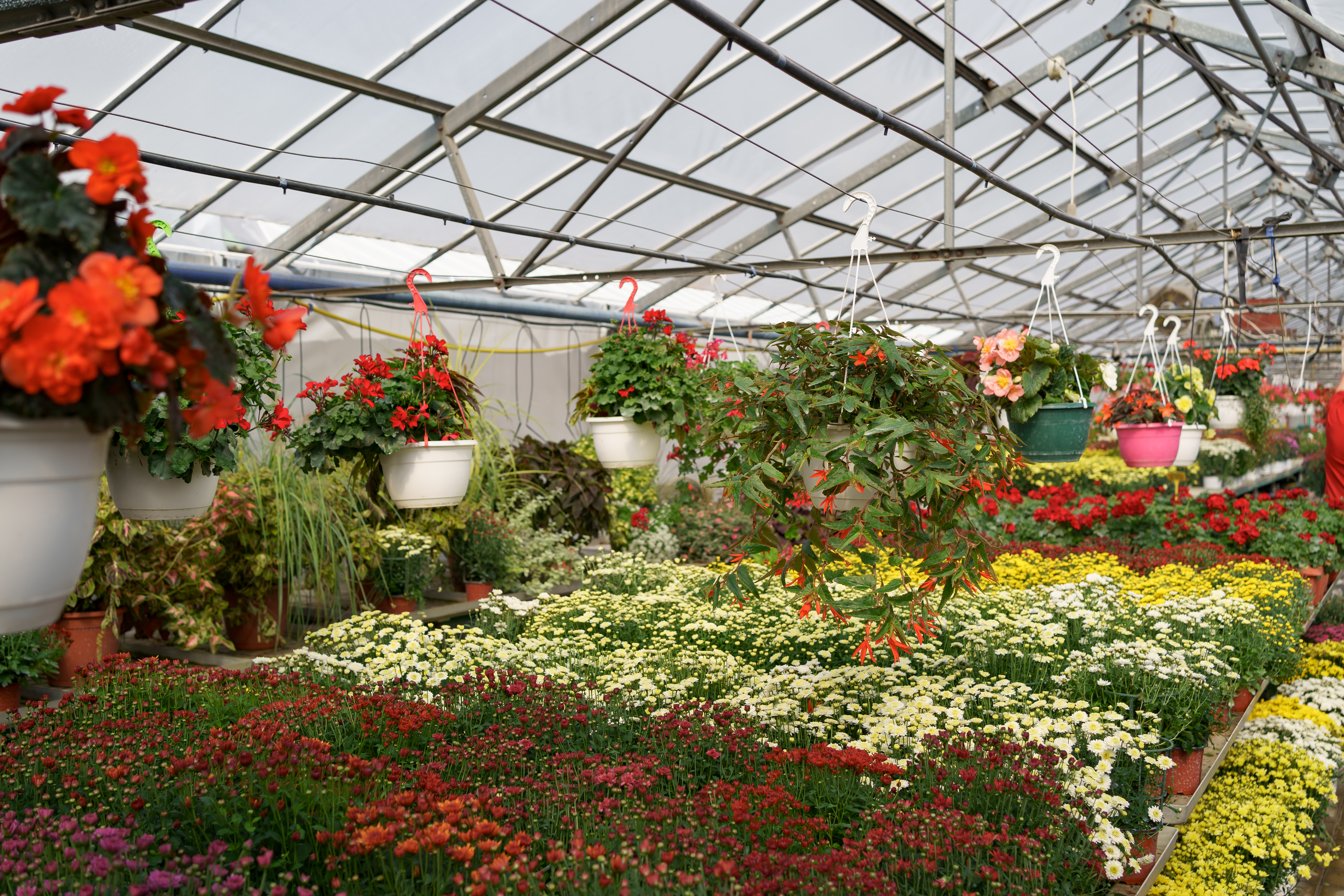 แผ่นโพลีคาร์บอเนต